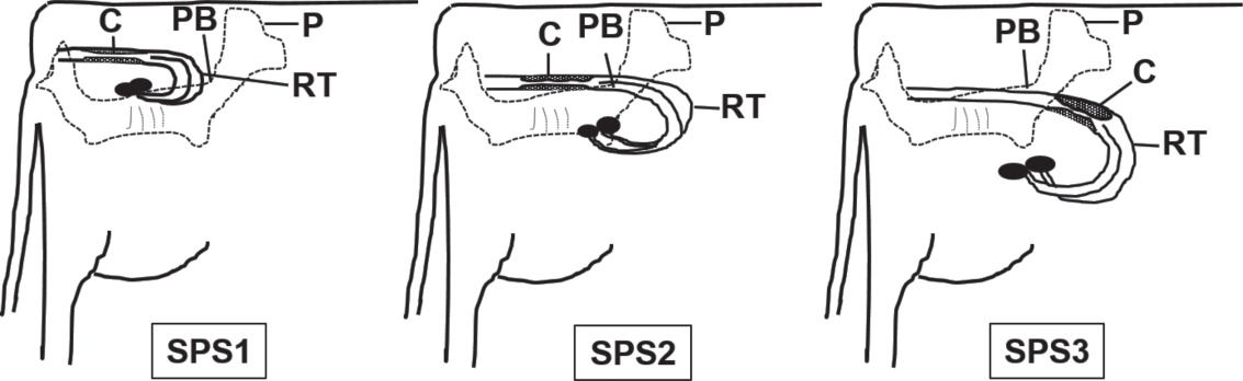 Figure 2 - Tucker.jpg